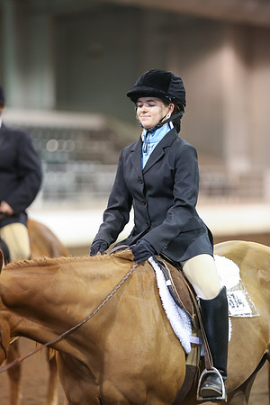 www.ngaphoto.com 2015 Georgia Federation of Saddle Clubs Championship Horse Show