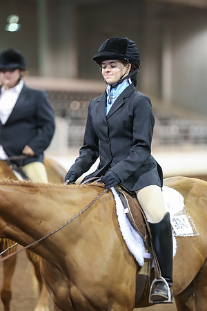 www.ngaphoto.com 2015 Georgia Federation of Saddle Clubs Championship Horse Show