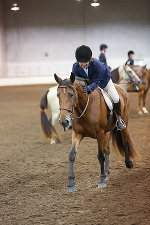 www.ngaphoto.com 2015 Georgia Federation of Saddle Clubs Championship Horse Show