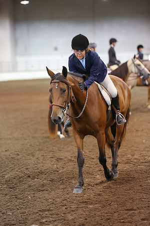 www.ngaphoto.com 2015 Georgia Federation of Saddle Clubs Championship Horse Show
