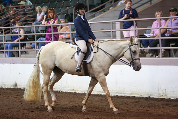 www.ngaphoto.com 2015 Georgia Federation of Saddle Clubs Championship Horse Show