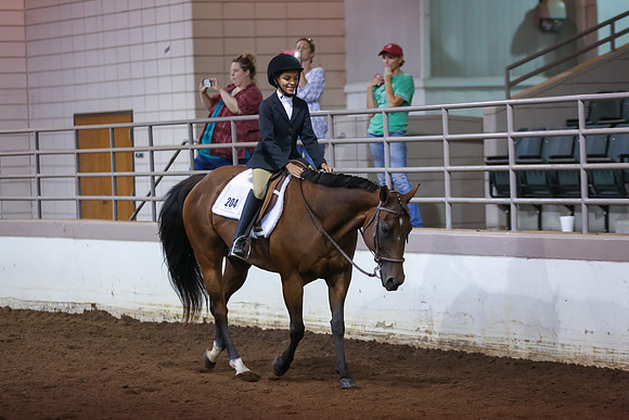 www.ngaphoto.com 2015 Georgia Federation of Saddle Clubs Championship Horse Show