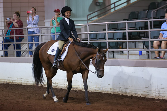 www.ngaphoto.com 2015 Georgia Federation of Saddle Clubs Championship Horse Show