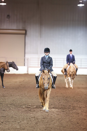 www.ngaphoto.com 2015 Georgia Federation of Saddle Clubs Championship Horse Show
