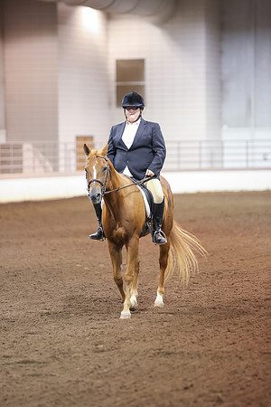 www.ngaphoto.com 2015 Georgia Federation of Saddle Clubs Championship Horse Show