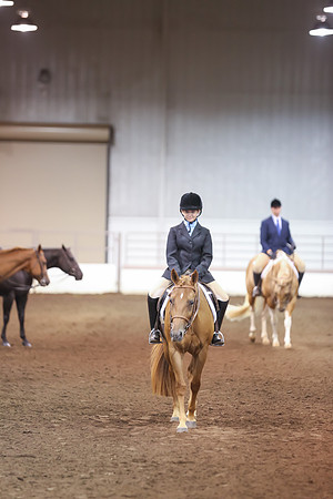 www.ngaphoto.com 2015 Georgia Federation of Saddle Clubs Championship Horse Show