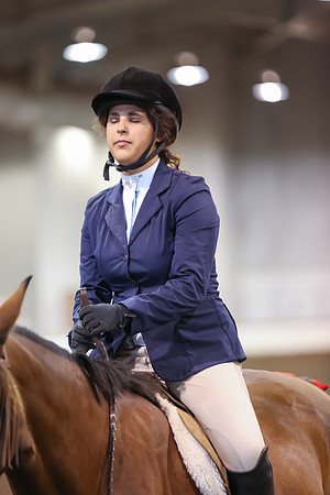 www.ngaphoto.com 2015 Georgia Federation of Saddle Clubs Championship Horse Show