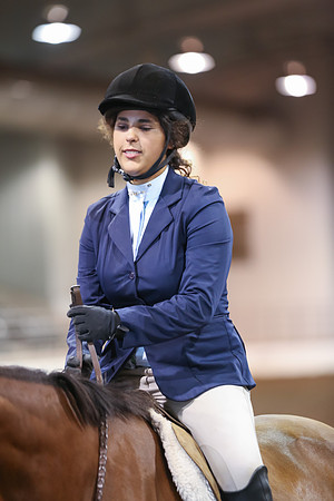 www.ngaphoto.com 2015 Georgia Federation of Saddle Clubs Championship Horse Show