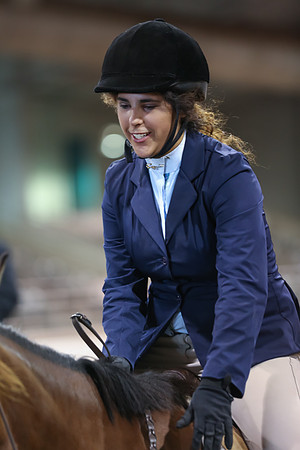 www.ngaphoto.com 2015 Georgia Federation of Saddle Clubs Championship Horse Show