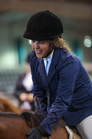 www.ngaphoto.com 2015 Georgia Federation of Saddle Clubs Championship Horse Show