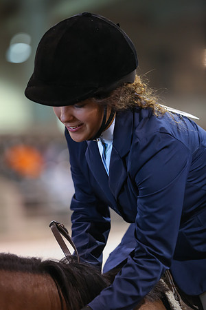 www.ngaphoto.com 2015 Georgia Federation of Saddle Clubs Championship Horse Show