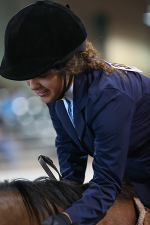 www.ngaphoto.com 2015 Georgia Federation of Saddle Clubs Championship Horse Show