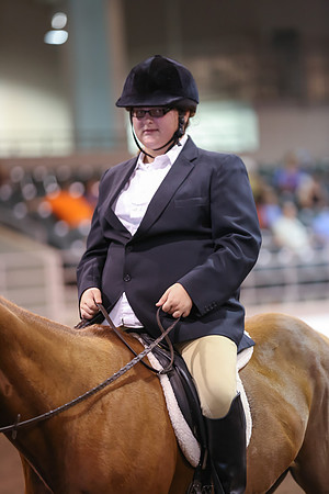 www.ngaphoto.com 2015 Georgia Federation of Saddle Clubs Championship Horse Show
