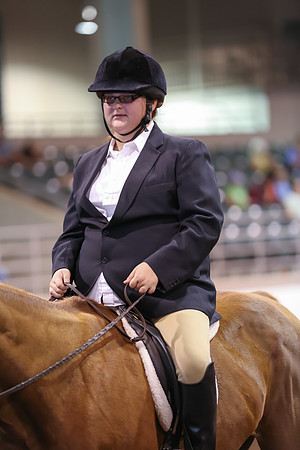www.ngaphoto.com 2015 Georgia Federation of Saddle Clubs Championship Horse Show
