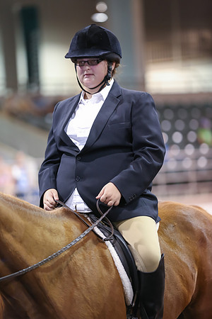 www.ngaphoto.com 2015 Georgia Federation of Saddle Clubs Championship Horse Show