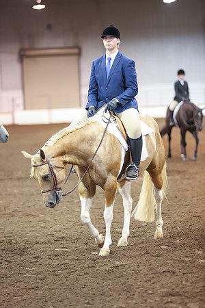 www.ngaphoto.com 2015 Georgia Federation of Saddle Clubs Championship Horse Show