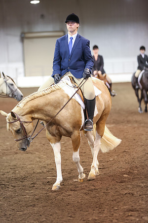 www.ngaphoto.com 2015 Georgia Federation of Saddle Clubs Championship Horse Show