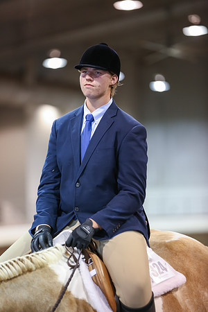 www.ngaphoto.com 2015 Georgia Federation of Saddle Clubs Championship Horse Show