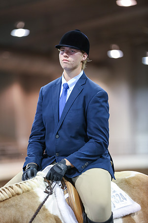 www.ngaphoto.com 2015 Georgia Federation of Saddle Clubs Championship Horse Show