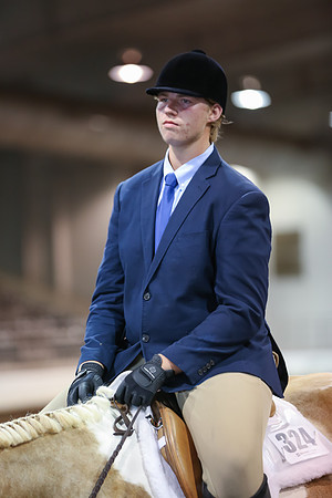www.ngaphoto.com 2015 Georgia Federation of Saddle Clubs Championship Horse Show