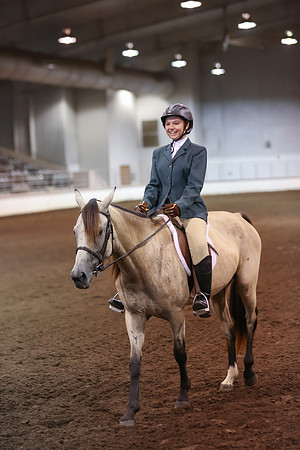 www.ngaphoto.com 2015 Georgia Federation of Saddle Clubs Championship Horse Show