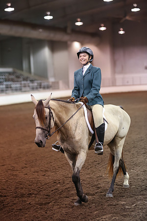 www.ngaphoto.com 2015 Georgia Federation of Saddle Clubs Championship Horse Show