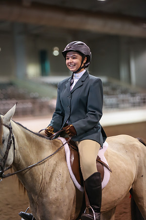 www.ngaphoto.com 2015 Georgia Federation of Saddle Clubs Championship Horse Show