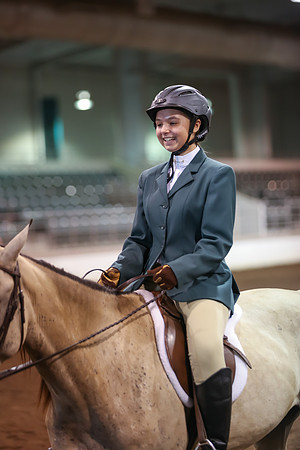 www.ngaphoto.com 2015 Georgia Federation of Saddle Clubs Championship Horse Show
