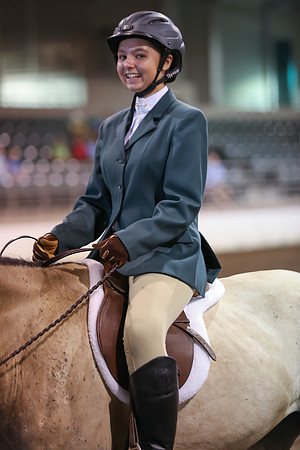 www.ngaphoto.com 2015 Georgia Federation of Saddle Clubs Championship Horse Show