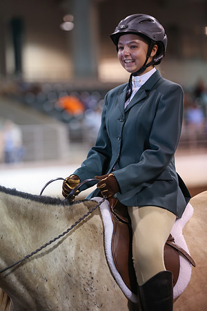 www.ngaphoto.com 2015 Georgia Federation of Saddle Clubs Championship Horse Show