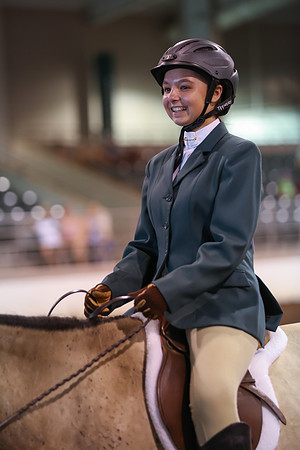 www.ngaphoto.com 2015 Georgia Federation of Saddle Clubs Championship Horse Show