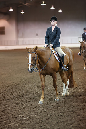 www.ngaphoto.com 2015 Georgia Federation of Saddle Clubs Championship Horse Show