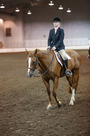 www.ngaphoto.com 2015 Georgia Federation of Saddle Clubs Championship Horse Show