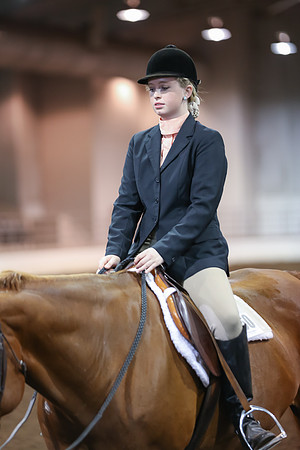 www.ngaphoto.com 2015 Georgia Federation of Saddle Clubs Championship Horse Show