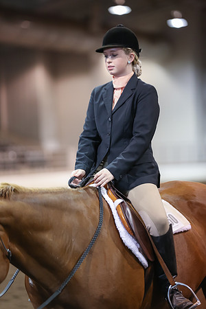www.ngaphoto.com 2015 Georgia Federation of Saddle Clubs Championship Horse Show