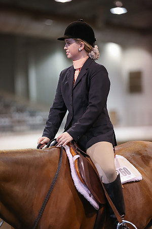 www.ngaphoto.com 2015 Georgia Federation of Saddle Clubs Championship Horse Show