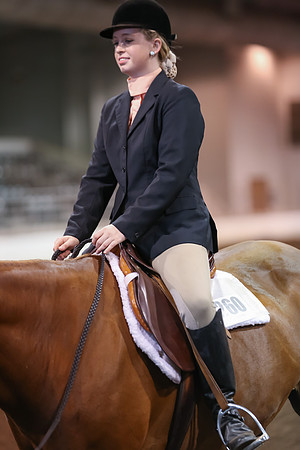 www.ngaphoto.com 2015 Georgia Federation of Saddle Clubs Championship Horse Show