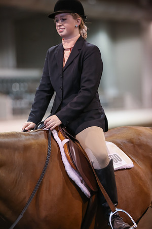 www.ngaphoto.com 2015 Georgia Federation of Saddle Clubs Championship Horse Show