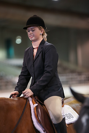 www.ngaphoto.com 2015 Georgia Federation of Saddle Clubs Championship Horse Show