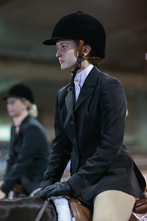 www.ngaphoto.com 2015 Georgia Federation of Saddle Clubs Championship Horse Show
