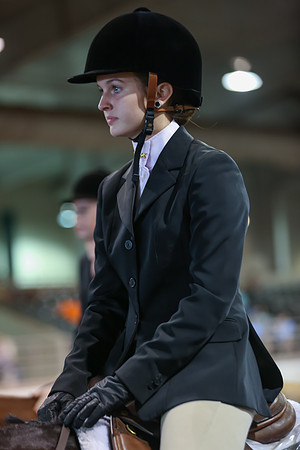 www.ngaphoto.com 2015 Georgia Federation of Saddle Clubs Championship Horse Show
