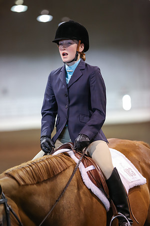 www.ngaphoto.com 2015 Georgia Federation of Saddle Clubs Championship Horse Show