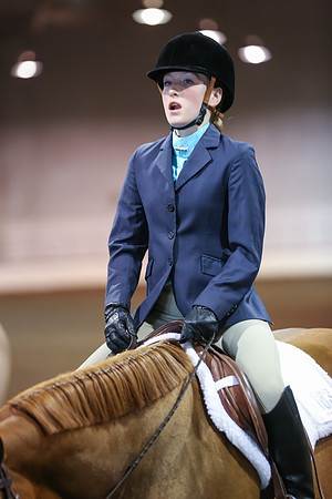 www.ngaphoto.com 2015 Georgia Federation of Saddle Clubs Championship Horse Show