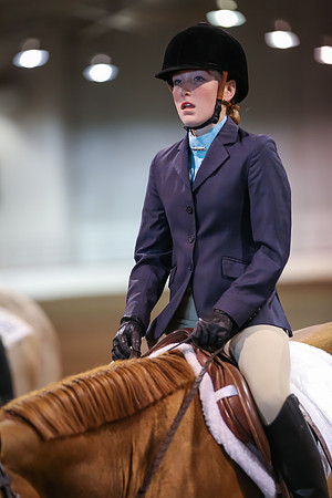 www.ngaphoto.com 2015 Georgia Federation of Saddle Clubs Championship Horse Show