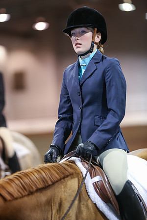 www.ngaphoto.com 2015 Georgia Federation of Saddle Clubs Championship Horse Show