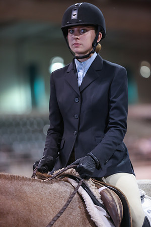 www.ngaphoto.com 2015 Georgia Federation of Saddle Clubs Championship Horse Show