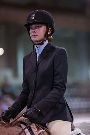 www.ngaphoto.com 2015 Georgia Federation of Saddle Clubs Championship Horse Show
