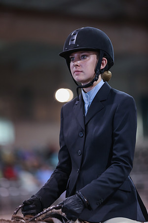 www.ngaphoto.com 2015 Georgia Federation of Saddle Clubs Championship Horse Show