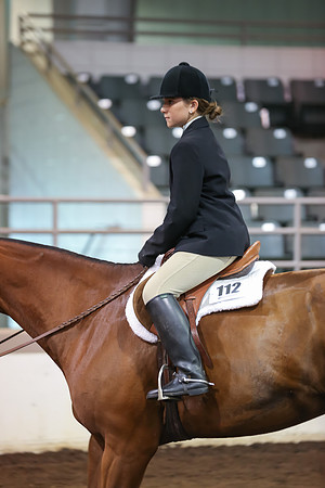 www.ngaphoto.com 2015 Georgia Federation of Saddle Clubs Championship Horse Show