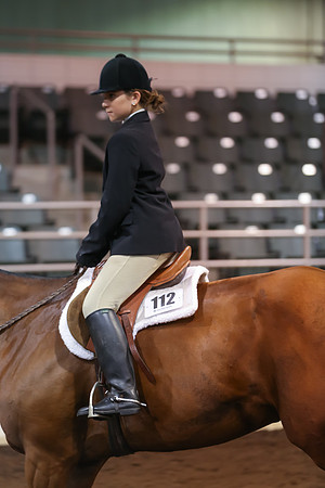 www.ngaphoto.com 2015 Georgia Federation of Saddle Clubs Championship Horse Show